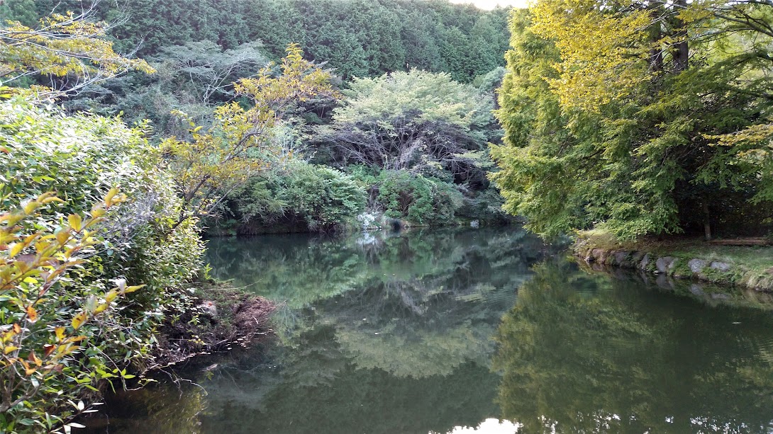 原生の森公園方面の水辺と緑の景色