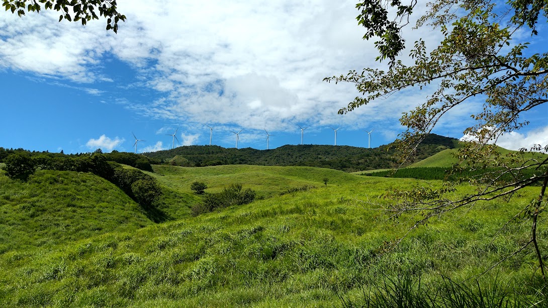 稲取高原方面の緑と風力発電の景色
